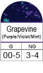 grapevine22_72